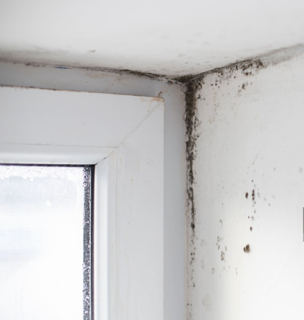 consequences-humidite-plafond