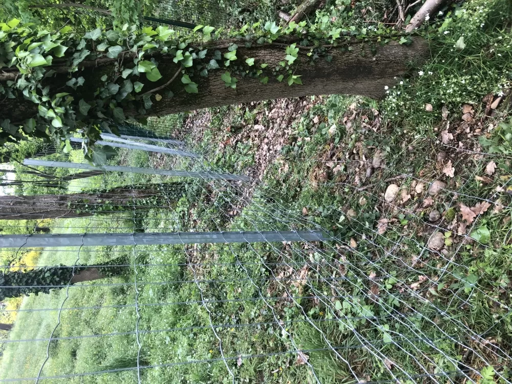 Clôture sécurité